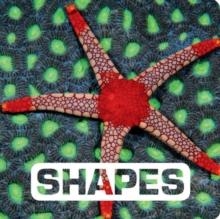 SHAPES: PICTURE THIS | 9780544518308