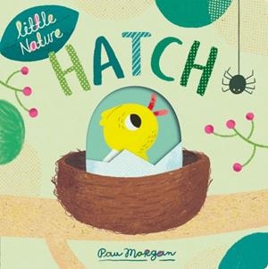 HATCH | 9781838912758 | ISABEL OTTER