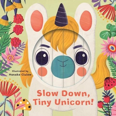 LITTLE FACES: SLOW DOWN, TINY UNICORN! | 9780711262454 | RHIANNON FINDLAY