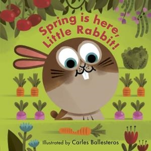 SPRING IS HERE, LITTLE RABBIT! | 9780711247512 | MATTHEW MORGAN