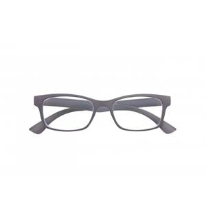 GAFAS 7203 SOFT GREY 2.50 | 5400323720367