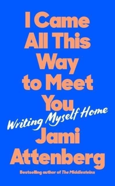 I CAME ALL THIS WAY TO MEET YOU | 9781788169820 | JAMI ATTENBERG
