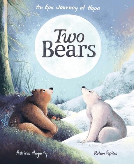 TWO BEARS | 9781838913625 | PATRICIA HEGARTY AND ROTEM TEPLOW