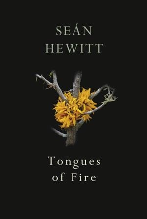 TONGUES OF FIRE | 9781787332263 | SEAN HEWITT