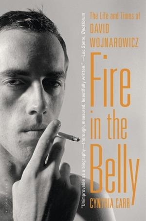 FIRE IN THE BELLY | 9781608194193 | CYNTHIA CARR
