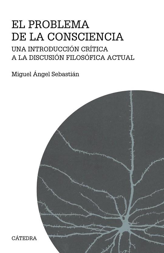 EL PROBLEMA DE LA CONSCIENCIA | 9788437642727 | MIGUEL ÁNGEL SEBASTIÁN