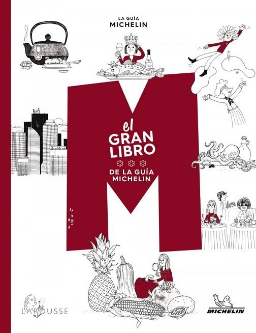 EL GRAN LIBRO DE LA GUIA MICHELIN | 9788418882043 | VVAA