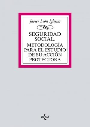SEGURIDAD SOCIAL. METODOLOGÍA PARA EL ESTUDIO DE SU ACCIÓN PROTECTORA | 9788430980307