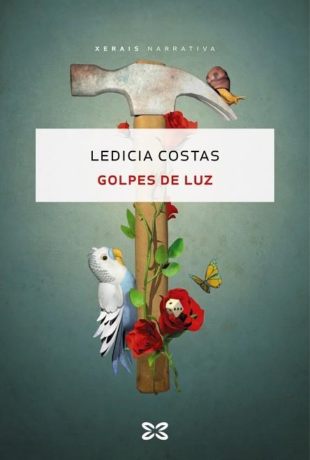 GOLPES DE LUZ | 9788411100366 | LEDICIA COSTAS