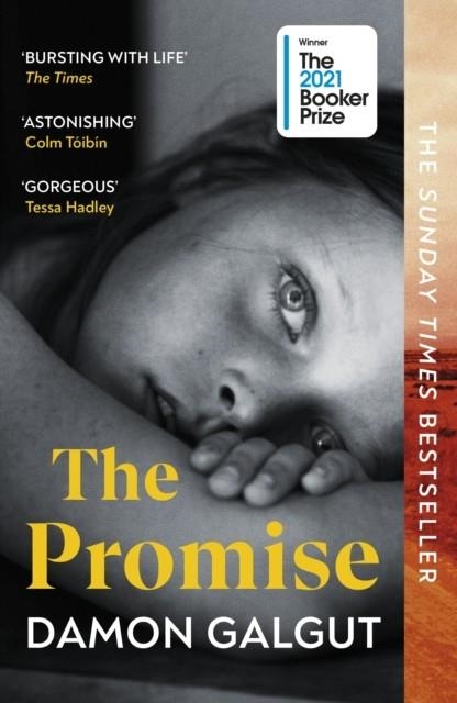 THE PROMISE | 9781529113877 | DAMON GALGUT