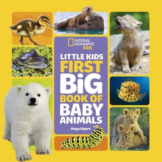 LITTLE KIDS FIRST BIG BOOK OF BABY ANIMALS | 9781426371462 | MAYA MIERS