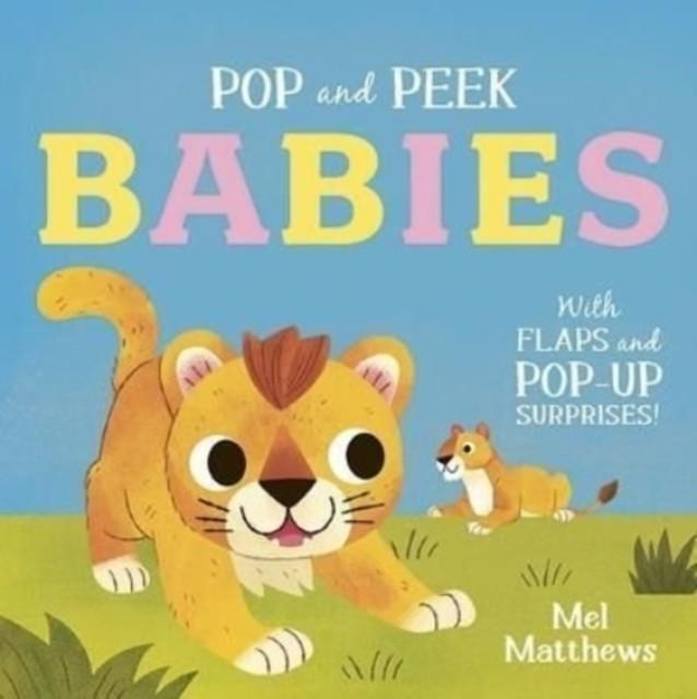 POP AND PEEK: BABIES | 9781800780897 | MEL MATTHEWS