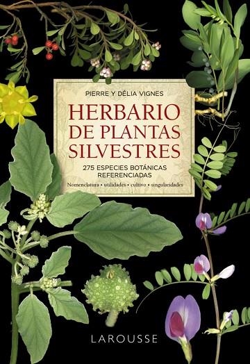 HERBARIO DE PLANTAS SILVESTRES | 9788418473999