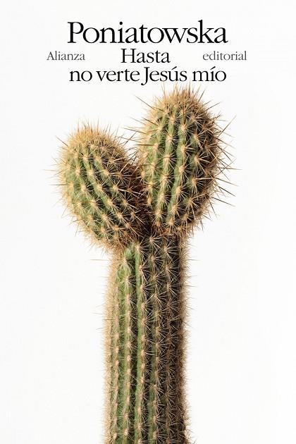 HASTA NO VERTE JESÚS MÍO | 9788491819806