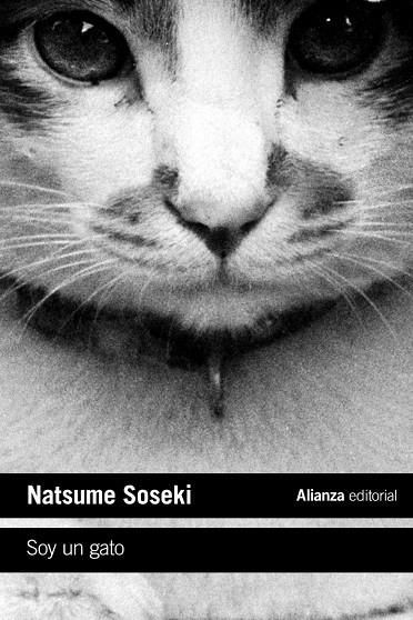 SOY UN GATO | 9788413620718