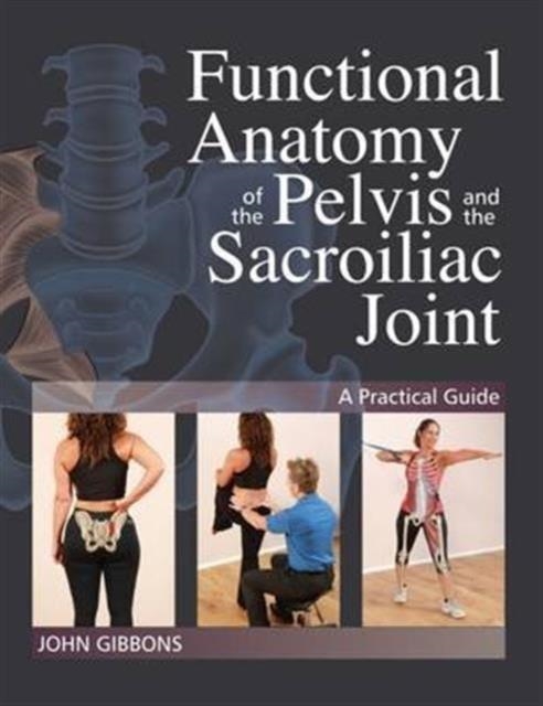 FUNCTIONAL ANATOMY OF THE PELVIS AND THE SACROILIAC JOINT: A PRACTICAL GUIDE | 9781905367665 | JOHN GIBBONS