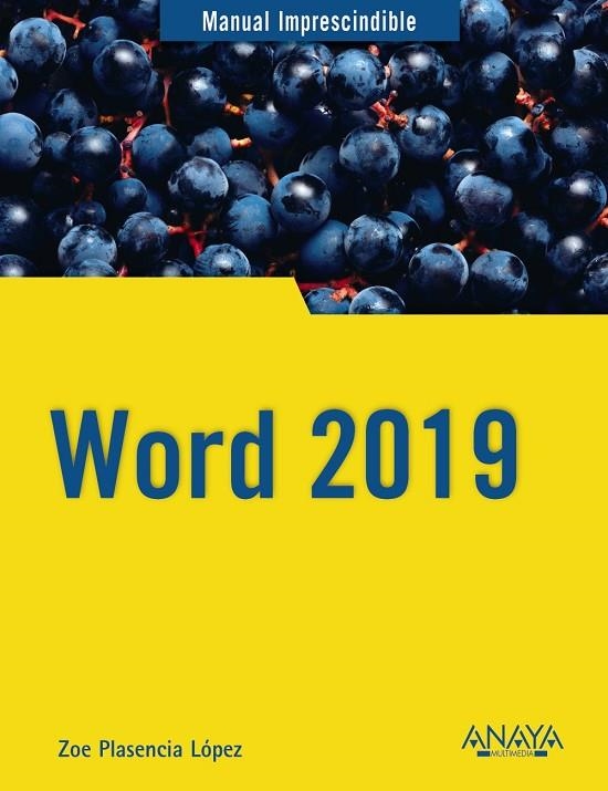 WORD 2019 | 9788441541146