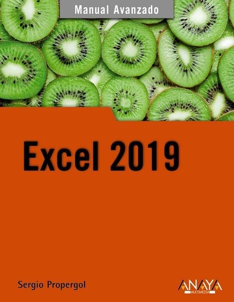 EXCEL 2019 | 9788441541153