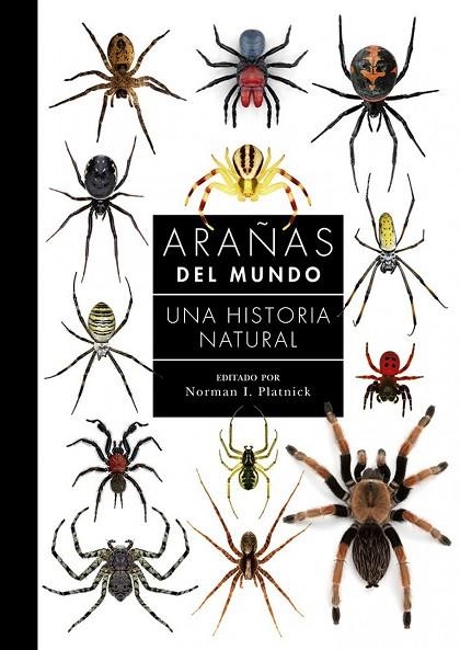 ARAÑAS DEL MUNDO | 9788428217385 | AA,VV