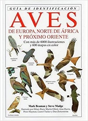 AVES DE EUROPA. GUIA DE IDENTIFICACION | 9788428209465 | BEAMAN/MADGE