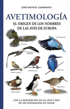 AVETIMOLOGIA. EL ORIGEN DEL NOMBRE DE LAS AVES | 9788428217484 | ZAMORANO,JOSE MANUEL