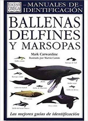 BALLENAS DELFINES Y MARSOPAS.MAN.IDENT. | 9788428210379 | CARWARDINE,MARK