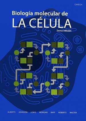BIOLOGIA MOLECULAR DE LA CELULA,6/ED. | 9788428216388 | ALBERTS, BRUCE
