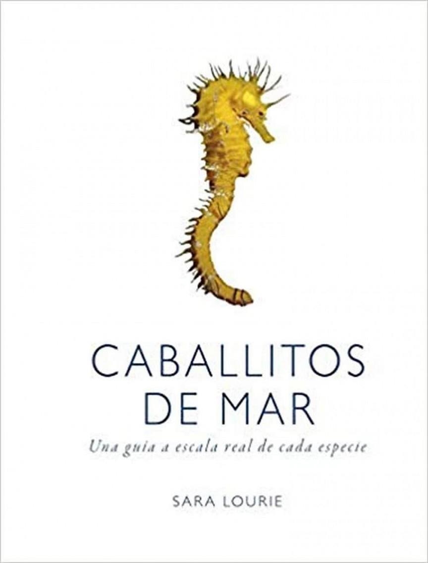 CABALLITOS DE MAR | 9788428216807 | LOURIE,SARA
