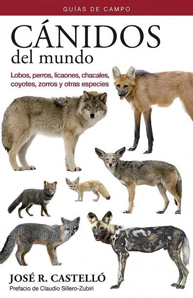 CANIDOS DEL MUNDO | 9788428217347 | CASTELLO,JOSE R