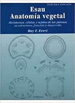 ESAU. ANATOMIA VEGETAL 3/ED. | 9788428214438 | EVERT,RAY F,