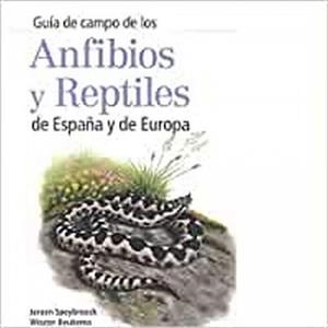 GUIA CAMPO ANFIBIOS Y REPTILES ESPAÑA-EUROPA | 9788428216647 | SPEYBROECK, JEROEN/BEUKEMA, WOUTER/BOK,