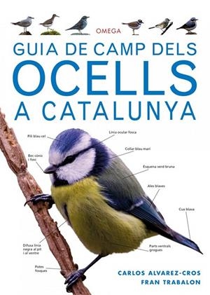 GUIA DE CAMP DELS OCELLS A CATALUNYA | 9788428216562 | ALVAREZ CROS, CARLOS/TRABALON CARRICONDO