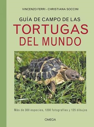 GUIA DE CAMPO DE LAS TORTUGAS DEL MUNDO | 9788428217132 | FERRI,VINCEZO