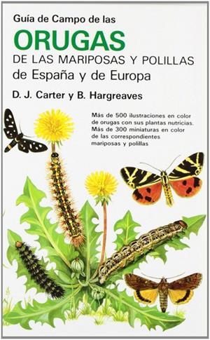 GUIA DE CAMPO ORUGAS DE MARIPOSAS Y POLILL. | 9788428207980 | CARTER/HARGREAVES
