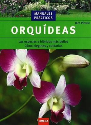 ORQUIDEAS | 9788428213974 | PINSKE,JORN