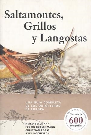 SALTAMONTES, GRILLOS Y LANGOSTAS | 9788428217279 | BELLMANN,HEIKO