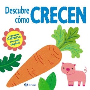 DESCUBRE CÓMO CRECEN | 9788469629321