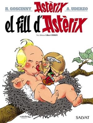 EL FILL D'ASTÈRIX | 9788469603079