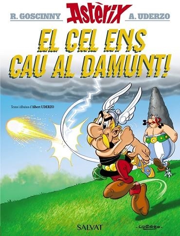 EL CEL ENS CAU AL DAMUNT! | 9788469603130