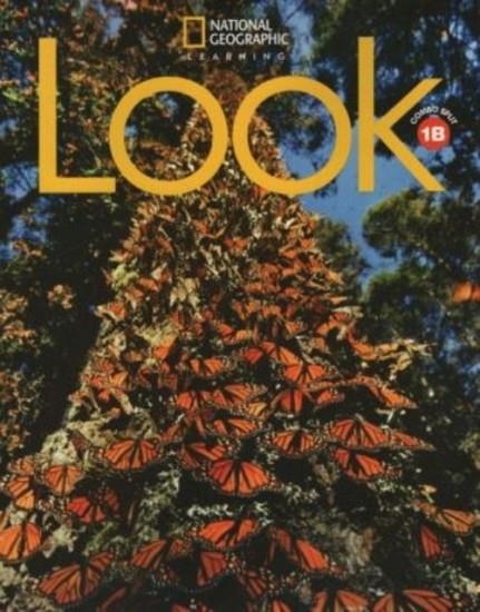 LOOK LEVEL 1 B COMBO BOOK SPLIT (AME) | 9780357027097