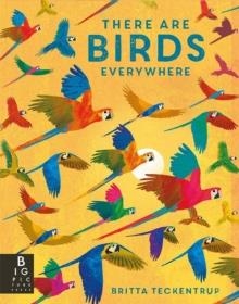 THERE ARE BIRDS EVERYWHERE | 9781787417175 | CAMILLA DE LA BEDOYERE