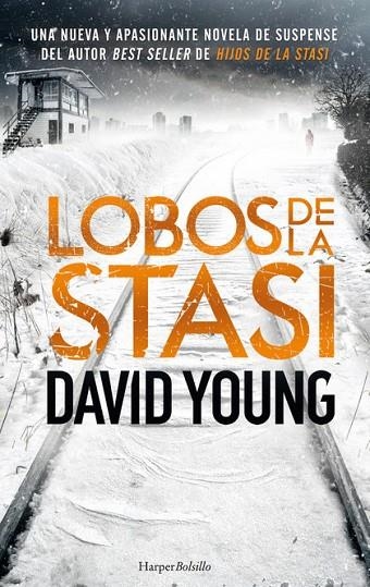 LOBOS DE LA STASI | 9788417216559 | YOUNG DAVID