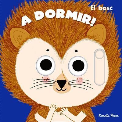A DORMIR | 9788413890364