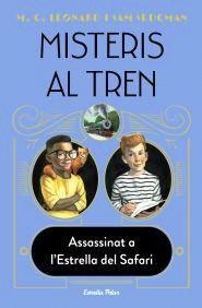 MISTERIS AL TREN | 9788413892085