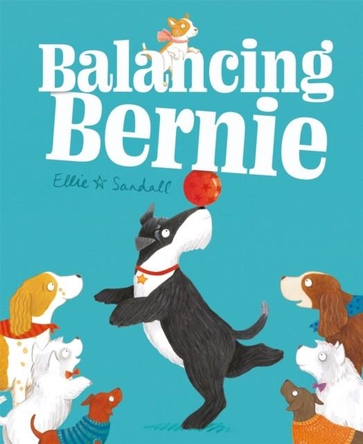 BALANCING BERNIE | 9781444946253 | ELLIE SANDALL