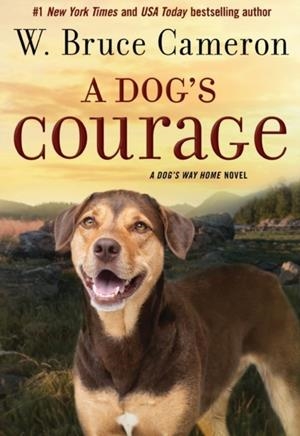 A DOG'S COURAGE | 9781250257642 | BRUCE W CAMERON