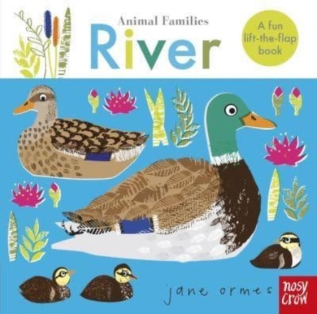 ANIMAL FAMILIES: RIVER | 9781839941450 | JANE ORMES