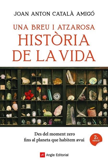 UNA BREU I ATZAROSA HISTÒRIA DE LA VIDA | 9788418197956 | CATALÀ AMIGÓ, JOAN ANTON