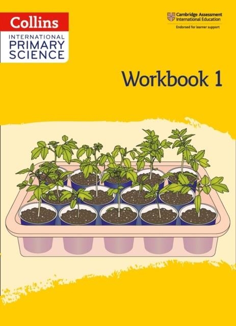 INTERNATIONAL PRIMARY SCIENCE WORKBOOK 1-2ND | 9780008368937