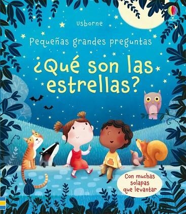 QUE SON LAS ESTRELLAS | 9781474944748 | DAYNES KATIE